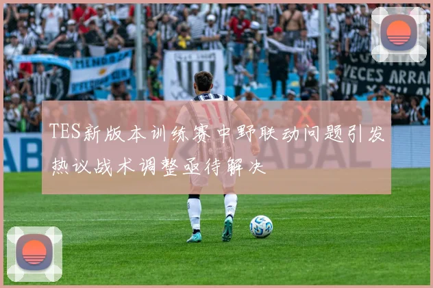 TES新版本训练赛中野联动问题引发热议战术调整亟待解决