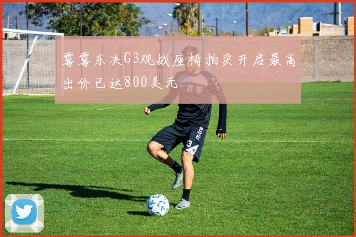 霉霉东决G3观战座椅拍卖开启最高出价已达800美元